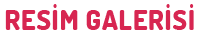 kategori logo